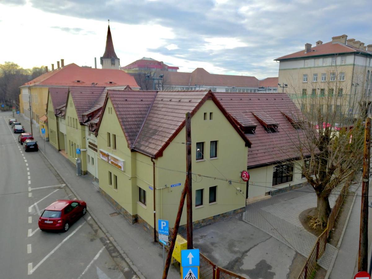 Pensiunea Luceafarul Sibiu Extérieur photo